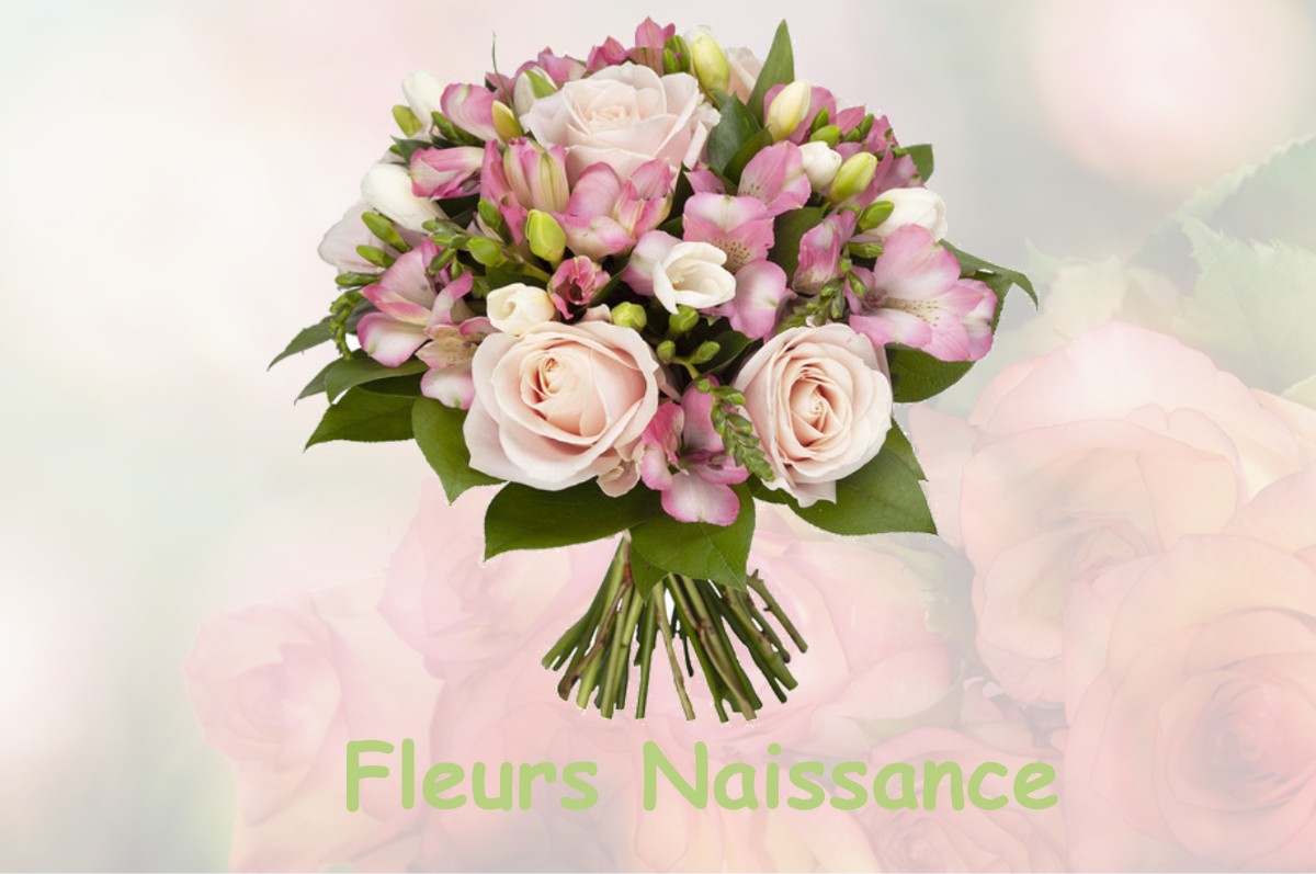 fleurs naissance SAINT-MARTIN-DE-FUGERES